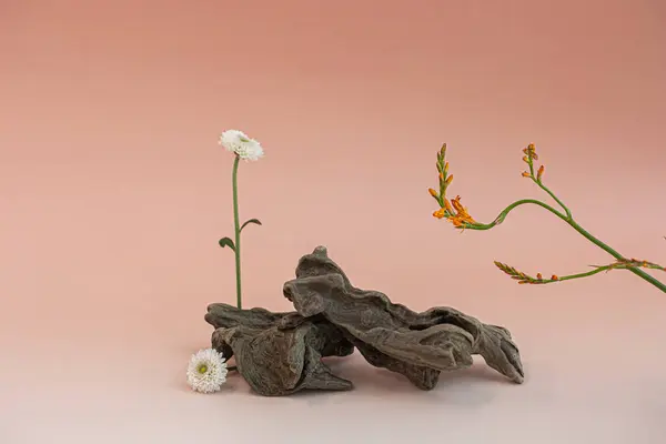 Sürüklenen ağaçlar ve çiçekler, fotoğrafçılık için arka plan.