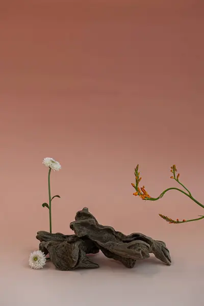 stock image Driftwood trees and flowers, background for photography.