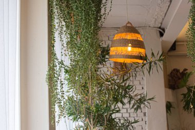 Bambu sepet lambasının dekoratifi