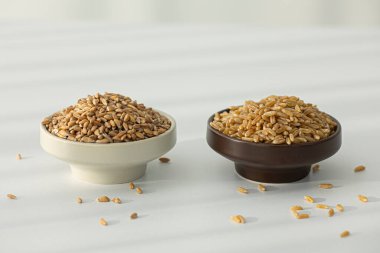 emmer (farro), kamut kabuklu buğday taneleri