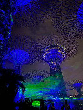 Singapur 'daki Kuzey Işıkları ve Borealis körfezin yanındaki Gardens' ta bulunan yeni bir ışık ve ses tesisatı.