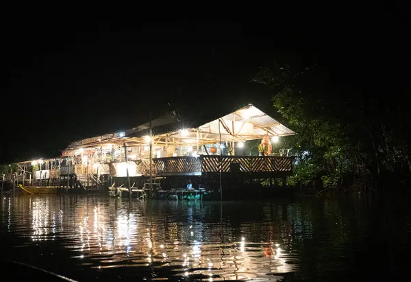 Bintan, Riau Adası, Endonezya 'daki rezervuarın üzerinde gece gökyüzü. Ateşböcekleri Mangrove Turu başlangıç poini