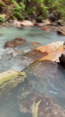 Kuzey Sulawesi 'deki jeotermal nehir. Yeşil bir ormanda güzel bir turkuaz nehir ve açık mavi gökyüzü. dikey görünüm