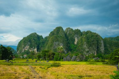 Manzara pirinç tarlaları dağlar doğa manzarası Asya Endonezya, makkassar turizmi