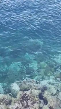 Yumuşak okyanus dalgalarının sakin ve rahatlatıcı bir manzarası sahildeki pürüzsüz karanlık kayaların üzerinde süzülüyor. Rahatlama, meditasyon ve seyahat videoları için mükemmel.