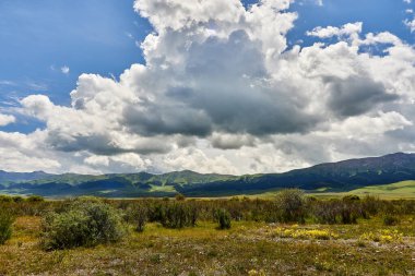 Dağların kozalaklı ormanlarla kaplı panoramik manzarası ve üzerlerinde kümülüs bulutları. Kazakistan 'daki Shalkodesu nehri vadisi.