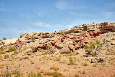 Kazakistan 'daki Altyn Emel Ulusal Parkı' ndaki Katutau volkanik dağlarının yamacındaki Haloxylon ağacının manzarası