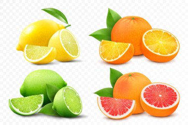 Limon, mandalina, limon, portakal, greyfurt... Yarısını kes ve dilimle. Vitaminli taze ekşi narenciye. Beyaz arkaplanda izole edilmiş gerçekçi 3d vektör çizimi