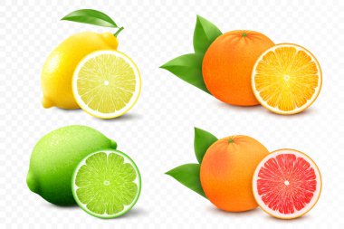 Limon, mandalina, kireç, portakal, greyfurt. Yarısını kes. Vitaminli taze ekşi narenciye. Beyaz arkaplanda izole edilmiş gerçekçi 3d vektör çizimi