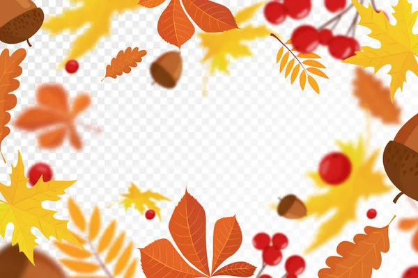Падающие Цветные Осенние Яблони Дубовые Листья Вибурна Желуди Эффектом Размытия — стоковое фото