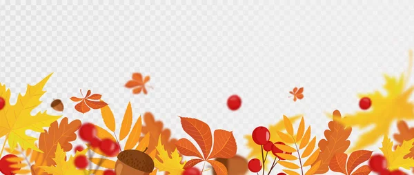 Vallende Kleurrijke Herfst Esdoorn Eiken Bladeren Viburnum Eikels Met Onscherpe — Stockfoto