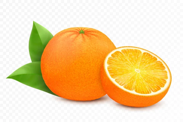 Whole Cut Oranges Fruits Leafs Isolated White Background Realistic Vector — Stock Photo, Image