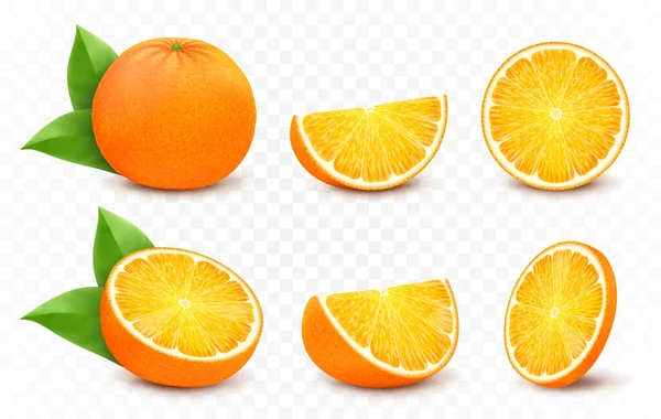 葉とオレンジ スライス サークルと白い背景に隔離された全体のジューシーな果物 現実的な3Dベクトル柑橘類セット — ストック写真