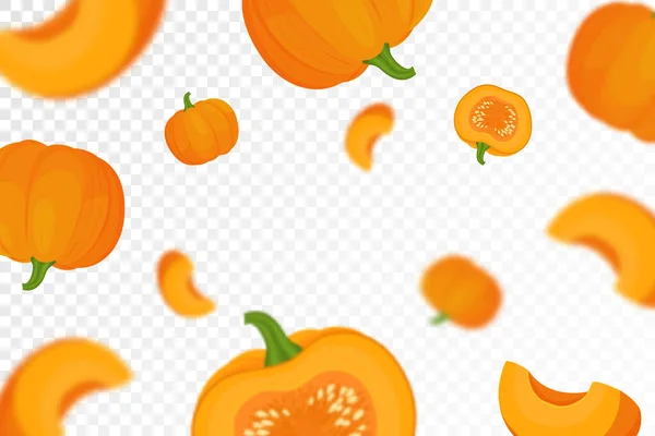 収穫祭や感謝祭の日のための集中ぼかし効果を持つオレンジ色の秋のカボチャの背景 透明な背景に異なるサイズのカボチャ ベクトルフラットデザイン — ストック写真