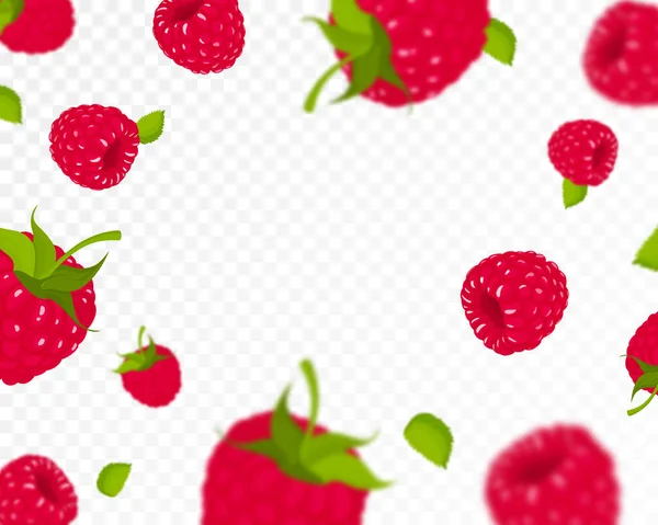 Latar Belakang Raspberry Terbang Raspberry Dengan Daun Hijau Pada Latar — Stok Foto