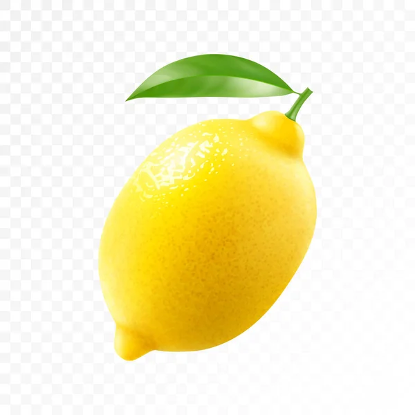 新鲜柠檬 背景透明 现实的3D矢量图解 完全可编辑的手工网目 — 图库照片
