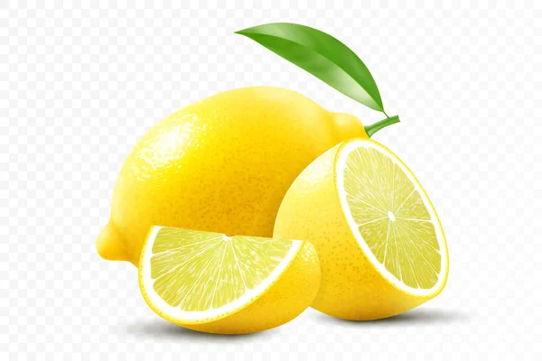 透明な背景で単離されたフレッシュレモン レモン全体 半分とレモンをスライス 現実的な3Dベクトル図 完全編集可能なハンドメイドメッシュ — ストック写真