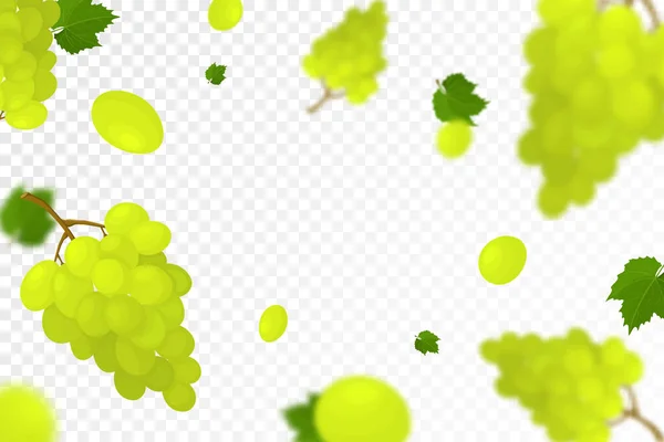 Падающий Сочный Спелый Виноград Зелеными Листьями Изолирован Прозрачном Фоне Летающие — стоковое фото