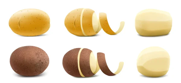 Set Van New Yellow Brown Raw Whole Unpeeled Potato Peeled — Stockfoto
