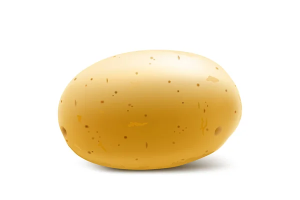 Rohe Ganze Gelbe Kartoffeln Junge Kartoffel Attrappe Für Webdesign Isoliert — Stockfoto
