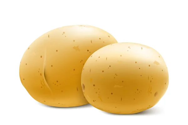 全体の黄色のジャガイモを生 白い背景に隔離されたウェブデザインのための若いジャガイモのモックアップ 野菜新鮮な天然物 健康的なライフスタイル 食事のコンセプト 3Dリアルなベクターイラスト — ストック写真