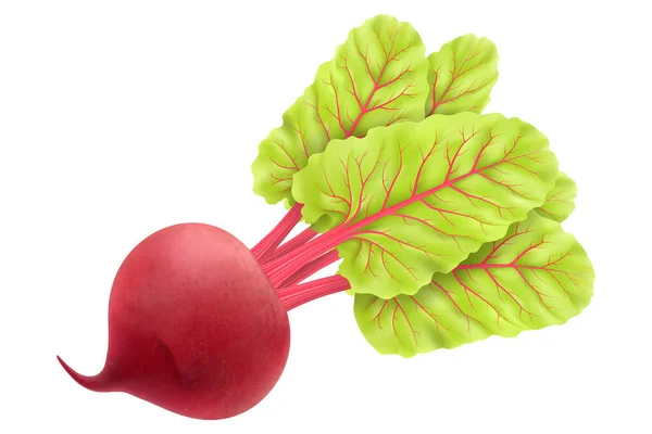 Fresh Beet Leaf Realistic Vector Illustration Isolated White Background Juicy — Stock Photo, Image