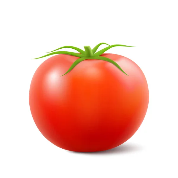 红色新鲜番茄 绿色茎隔离在白色背景 侧面视图 印刷品 设计元素的包装 现实的3D矢量图解 天然质感 — 图库照片