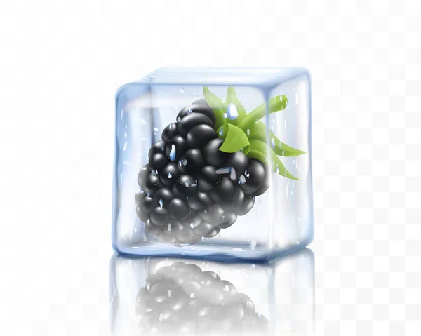 透明な背景に隔離された氷のキューブに新鮮な熟したブラックベリー 冷凍ブラックベリー 現実的な3Dベクトルイラスト — ストック写真