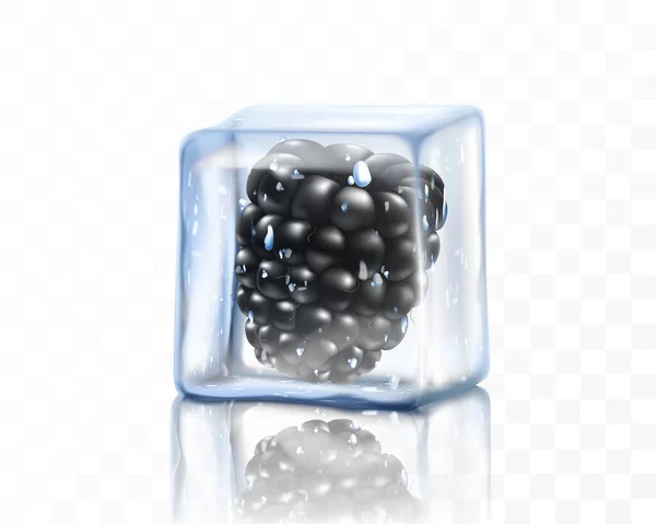 Fresh Ripe Blackberry Ice Cube Isolated Transparent Background Frozen Blackberry — Stock Photo, Image