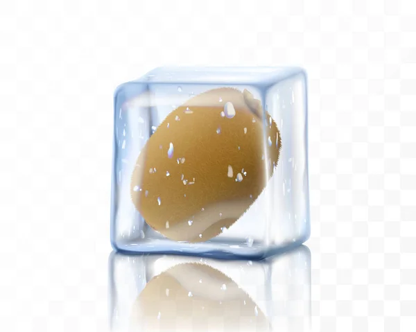 Fresh Ripe Whole Kiwi Ice Cube Isolated Transparent Background Frozen — Stock Photo, Image