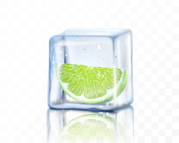 Fresh Ripe Lime Slice Ice Cube Isolated Transparent Background Frozen — Stock Photo, Image