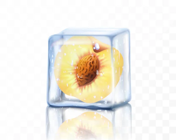新鲜成熟的桃一半在透明的背景上隔离在冰块中 结冰的桃与石头 现实的3D矢量插图 — 图库照片