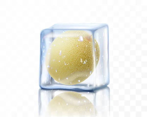 透明な背景に隔離された氷のキューブ内の新鮮な熟したメロン全体 冷凍メロン 現実的な3Dベクトルイラスト — ストック写真