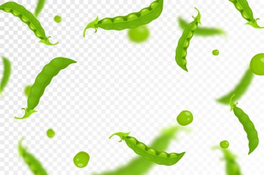 Yeşil bezelye arkaplanı. Uçan ya da düşen taze bezelye şeffaf arka planda izole edilmiş. Reklam, ambalaj, afiş, poster, baskı için kullanılabilir. Düz dizayn. Vektör illüstrasyonu