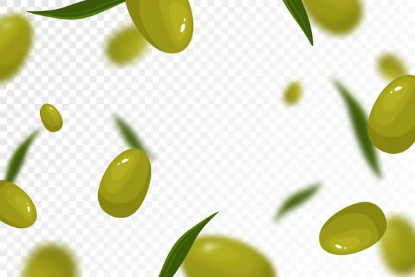 Olives Background Flying Falling Olives Isolated Transparent Background Can Used — Stock Vector