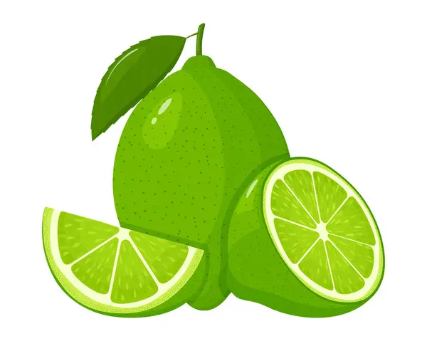 Fresh Whole Lime Half Lime Slice Leaves Isolated White Background — Vector de stock