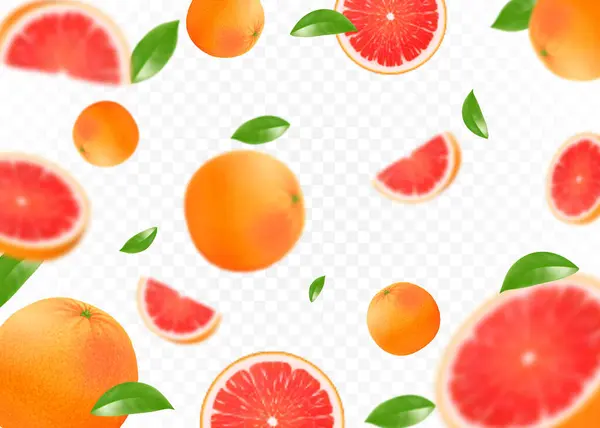 Realistic Flying Grapefruit Transparent Background Fruit Citrus Background Isolated Whole — ストックベクタ