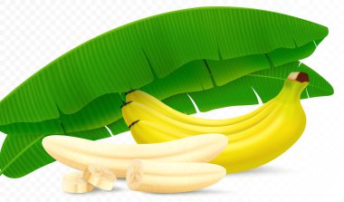 Composition of banana fruits, bunch of bananas, peeled banana, slices and halves, leaves from a banana palm. Realistic 3d vector illustration, isolated on transparent background