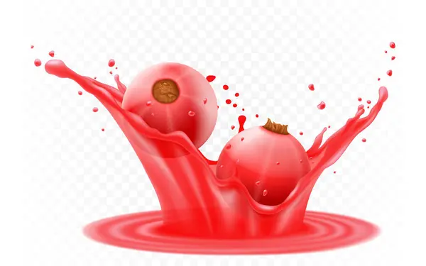 Red Currant Splash Juice Yogurt Fresh Berry Falls Juice Realistic — Stock Vector