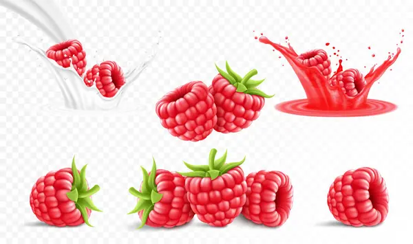 Collection Ripe Raspberries Isolated Transparent Background Raspberry Splash Juice Drops — Stockvector