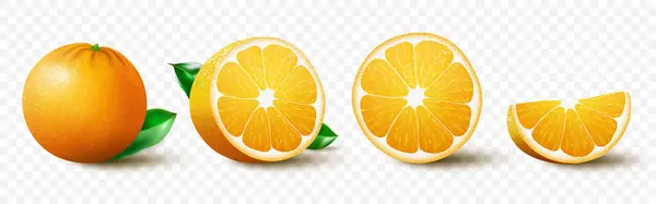Fresh Orange Fruit Set Juicy Orange Leaves Half Slice Whole — 图库矢量图片