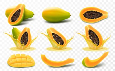 Olgun papaya, pati, papaw yarısı tohumlar, dilimler ve tam sulu meyveler, bir tutam meyve damlacıkları, şeffaf arkaplanda izole edilmiş. Gerçekçi 3d vektör illüstrasyonu.