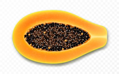 Tohumlu doğal taze papaya yarısı. Meyve papağanı şeffaf arkaplanda izole edilmiş. Tropikal, egzotik meyve. Gerçekçi 3d vektör illüstrasyonu.