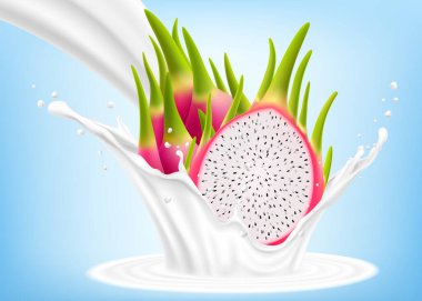 Yoğurt ya da süt katılmış egzotik, tropik ejder meyvesi, kokteyl sıçraması ve damlaları, pitaya ya da pitahaya soslu milkshake. Gerçekçi 3d vektör illüstrasyonu