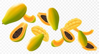 Uçan olgun papaya. Parlak reklam arkaplanı sulu meyve papaya, bulanık efektli gerçekçi illüstrasyon. Reklam pankartları ve web sayfası tasarımı için 3d vektör tasarımı