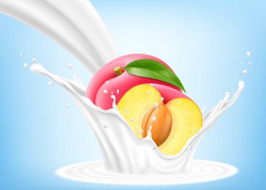 Taze erik yoğurt ya da sütün içine düşer, damla damla kokteyl, sulu meyveli milkshake. Gerçekçi 3d vektör illüstrasyonu