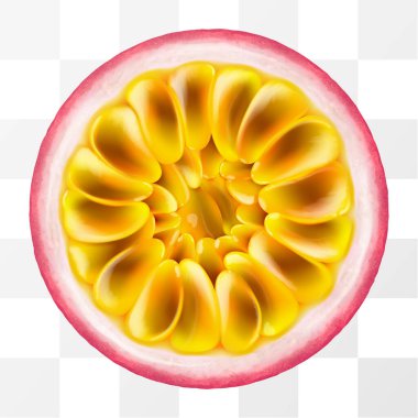 Şeffaf bir arka planda izole edilmiş taze tutku meyvesi. Tutku meyvesi bölümü. Tohumlu meyve. Paket tasarımı için Passiflora edulis. Tropikal meyvelerin gerçekçi 3d Vektör çizimi.