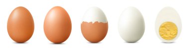 Beyaz arka planda izole edilmiş kahverengi tavuk yumurtaları. Dokulu, çatlak, yarısı soyulmuş, haşlanmış yumurta, yumurta sarısı ile haşlanmış yumurta. Tam, Yarım Yumurta Kesimi, Ön Manzara. Gerçekçi 3d Vektörü