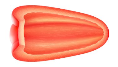 Kırmızı biber dilimi, beyaz arka planda izole edilmiş. Taze olgun kırmızı biber, gerçekçi 3 boyutlu vektör illüstrasyonu, doğal yemek mutfağı için makro yakın plan nesne.