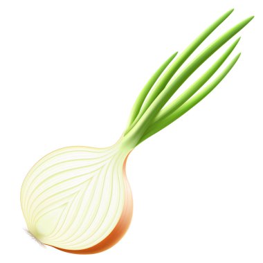 Half a fresh onion. Half of ripe yellow onion with green feather isolated on white background. Healthy food. Natural vegetable. Realistic 3d vector illustration